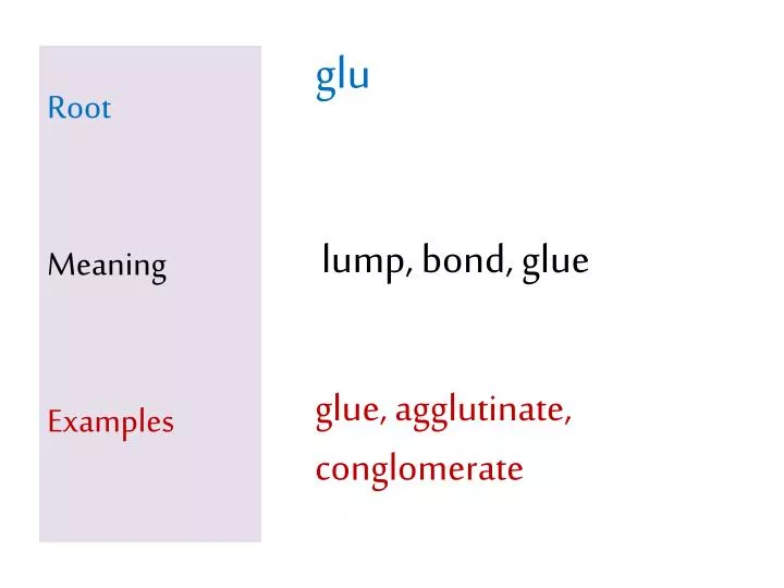 root meaning examples