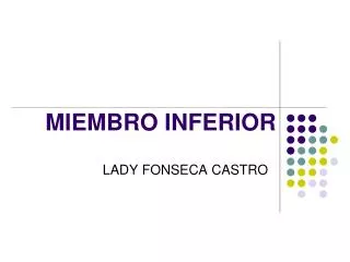 miembro inferior