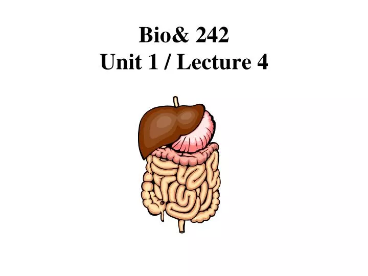 bio 242 unit 1 lecture 4