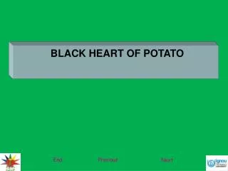 BLACK HEART OF POTATO