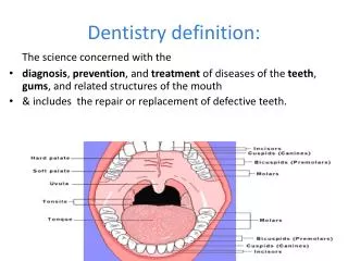 Dentistry definition: