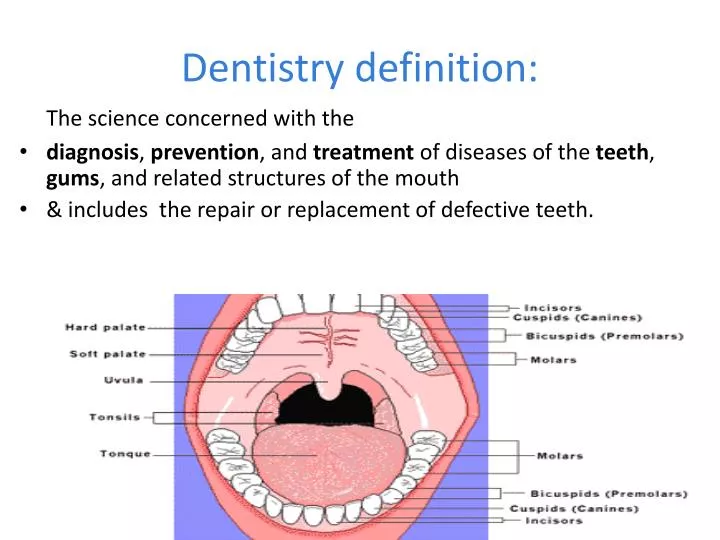 dentistry definition