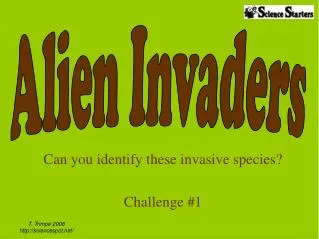 Can you identify these invasive species? Challenge #1