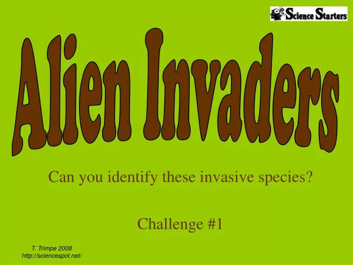 can you identify these invasive species challenge 1