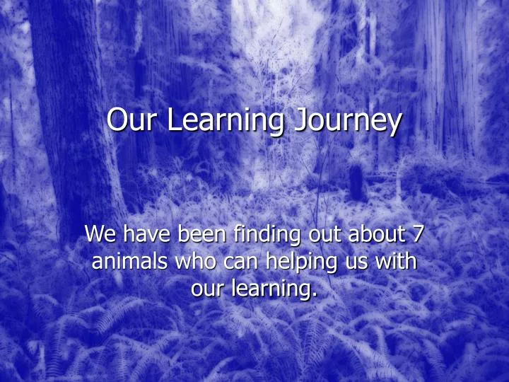 our learning journey