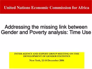 INTER AGENCY AND EXPERT GROUP MEETING ON THE DEVELOPMENT OF GENDER STATISTICS New York, 12-14 December 2006