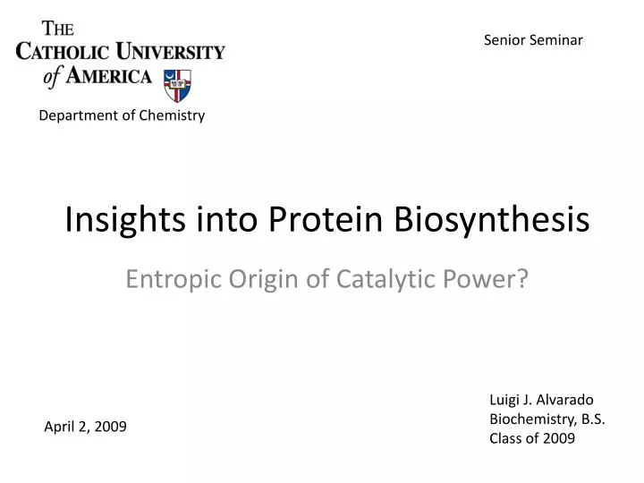 insights into protein biosynthesis