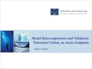 Model Intercomparisons and Validation: Terrestrial Carbon, an Arctic Emphasis