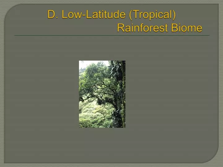 d low latitude tropical rainforest biome