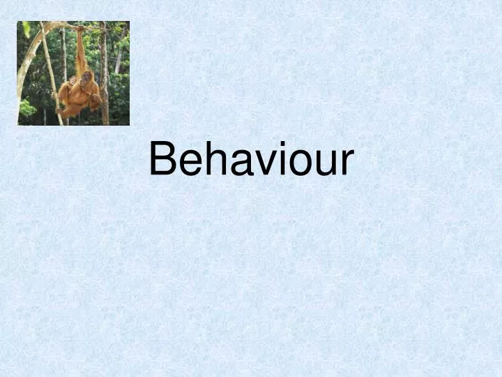 behaviour