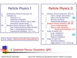 V . Quantum Flavour Dynamics: QFD