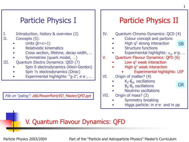 v quantum flavour dynamics qfd