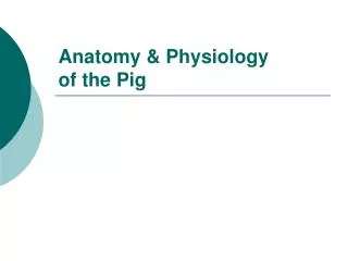 Anatomy &amp; Physiology of the Pig