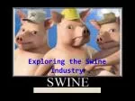 The Swine Industry: Pigs, Breeds, and Production Techniques - slide 1