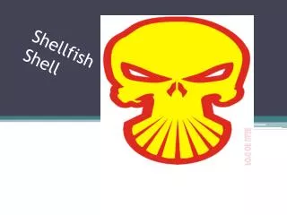 Shellfish Shell