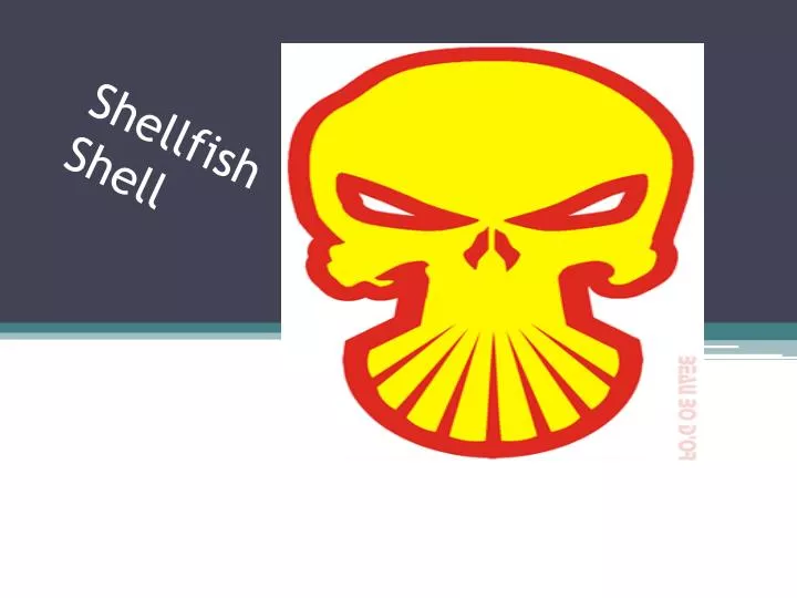 shellfish shell