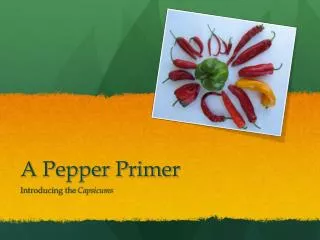 A Pepper Primer