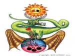 Alchemy - slide 1