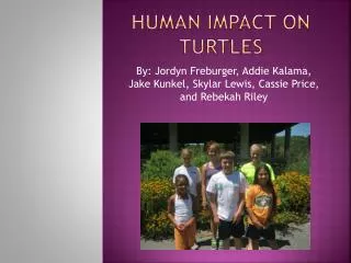 Human impact on turtles