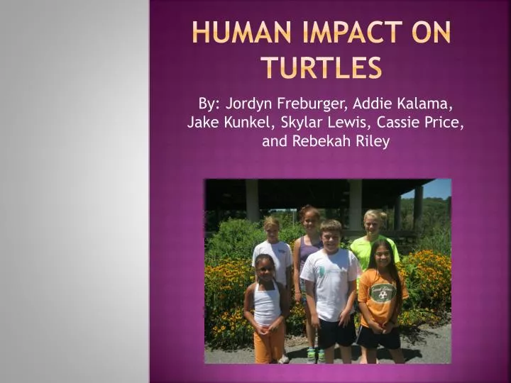 human impact on turtles
