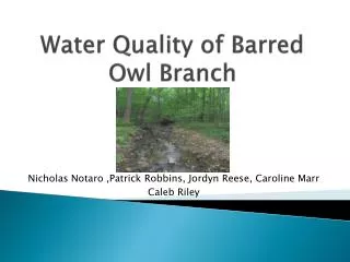 Water Quality of Barred Owl Branch