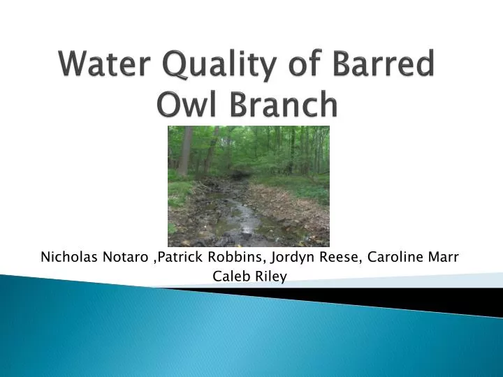 water quality of barred owl branch