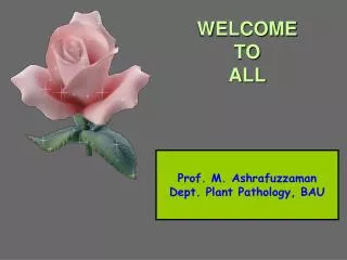 WELCOME TO ALL