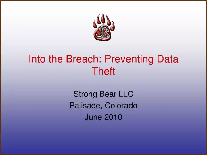 into the breach preventing data theft