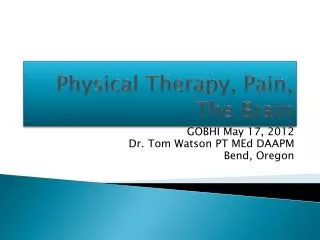 Physical Therapy, Pain, The Brain