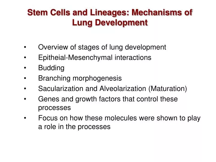 stem cells and lineages mechanisms of lung development