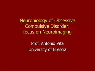 Neurobiology of Obsessive Compulsive Disorder: focus on Neuroimaging