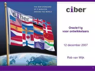 oracle11g voor ontwikkelaars