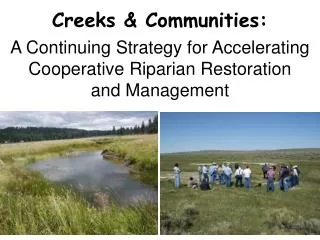 Creeks &amp; Communities: