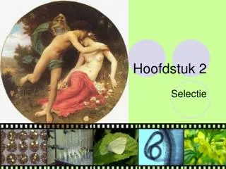 hoofdstuk 2