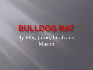 Bulldog Bat