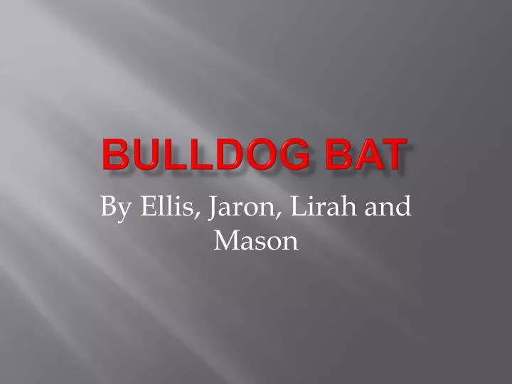 bulldog bat