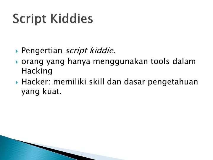 script kiddies
