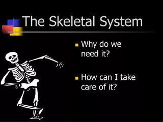 The Skeletal System