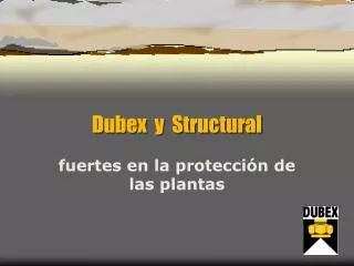 Dubex y Structural