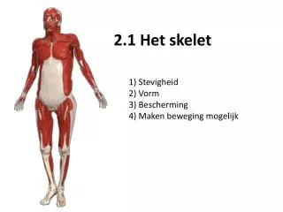 2.1 Het skelet
