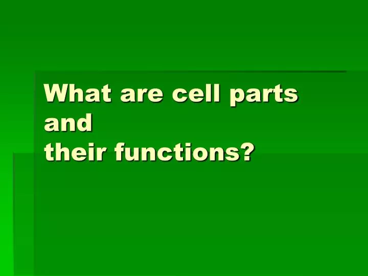 what are cell parts and their functions