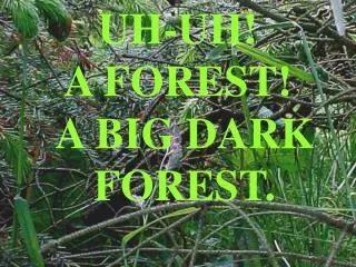 UH-UH! A FOREST! A BIG DARK FOREST.