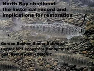 North Bay steelhead: the historical record and implications for restoration