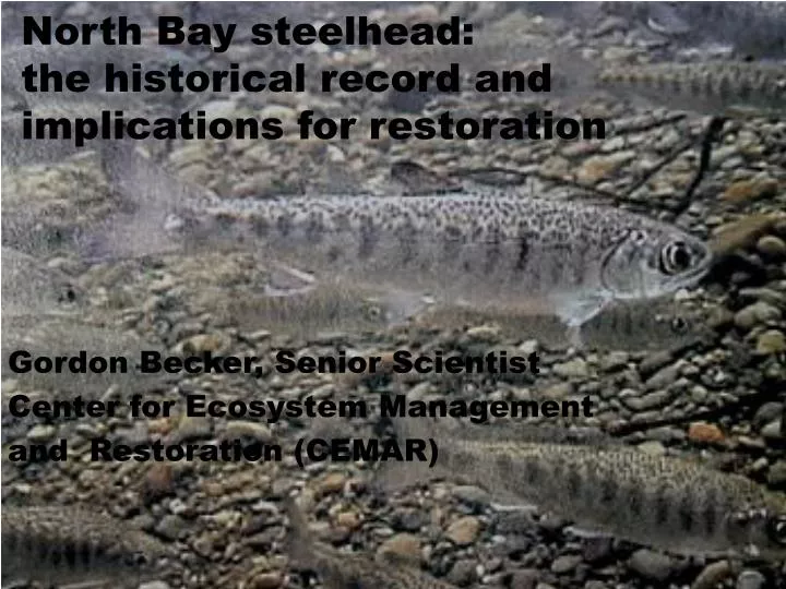 north bay steelhead the historical record and implications for restoration