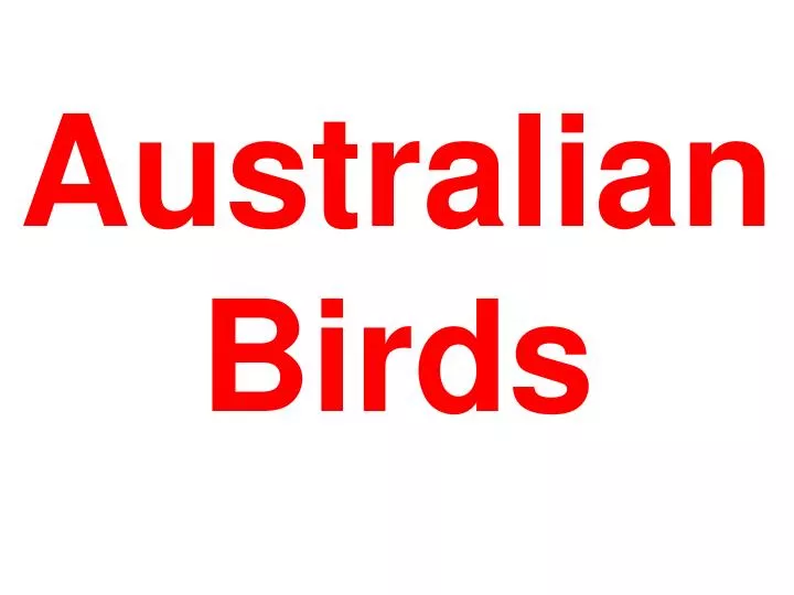 australian birds