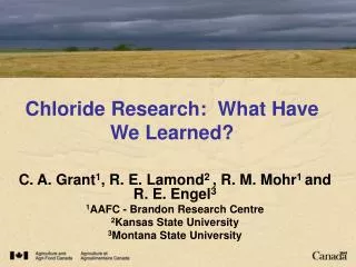 Chloride Research: What Have We Learned?