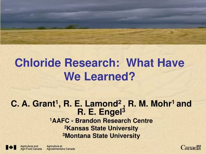 chloride research what have we learned