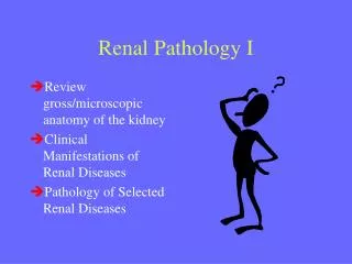 Renal Pathology I