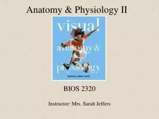 Anatomy &amp; Physiology II