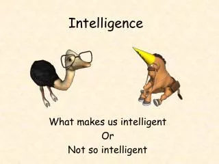 Intelligence